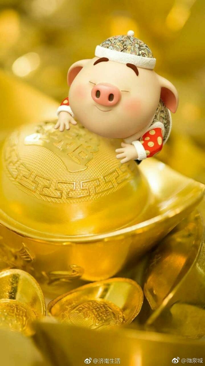 30秒内转走这只猪2019猪事顺利家人健康一夜暴富好运连连