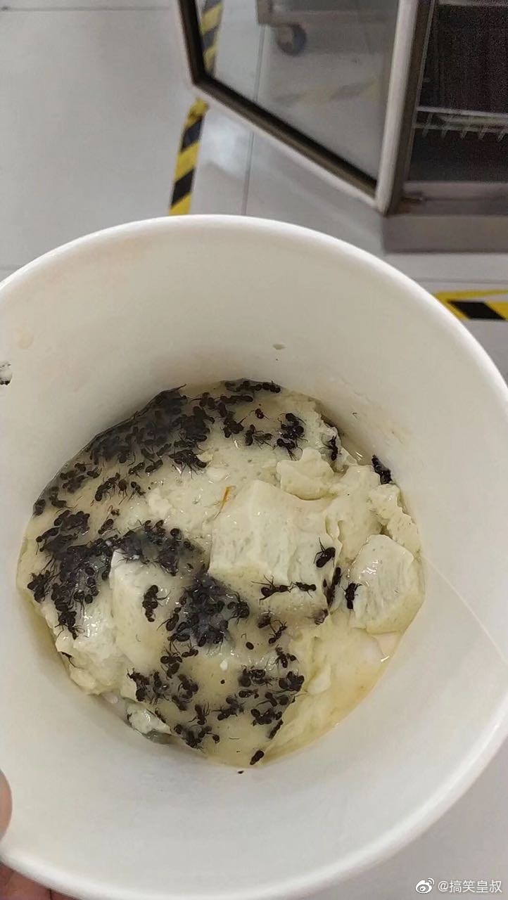 网友投稿阜阳师范学院新菜品蚂蚁蒸鸡蛋真的是丧心病狂啊