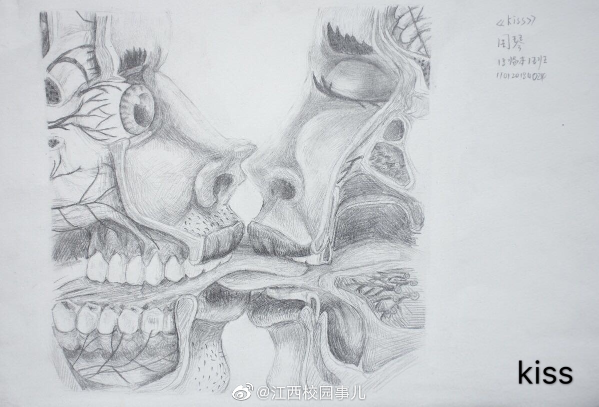 高校学生手绘解剖图走红网友
