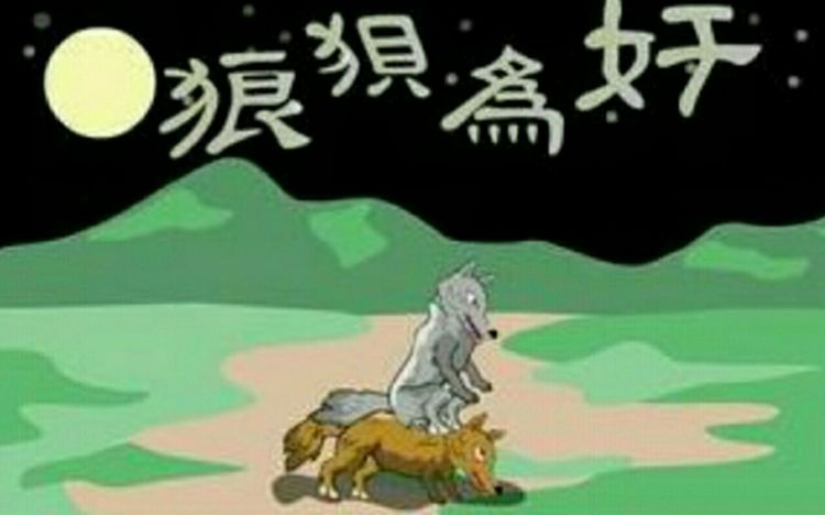 狼狈为奸成语源于何处?狼近人皆知,而狈究竟是一种什么动物?|狈|狼|成语_新浪新闻