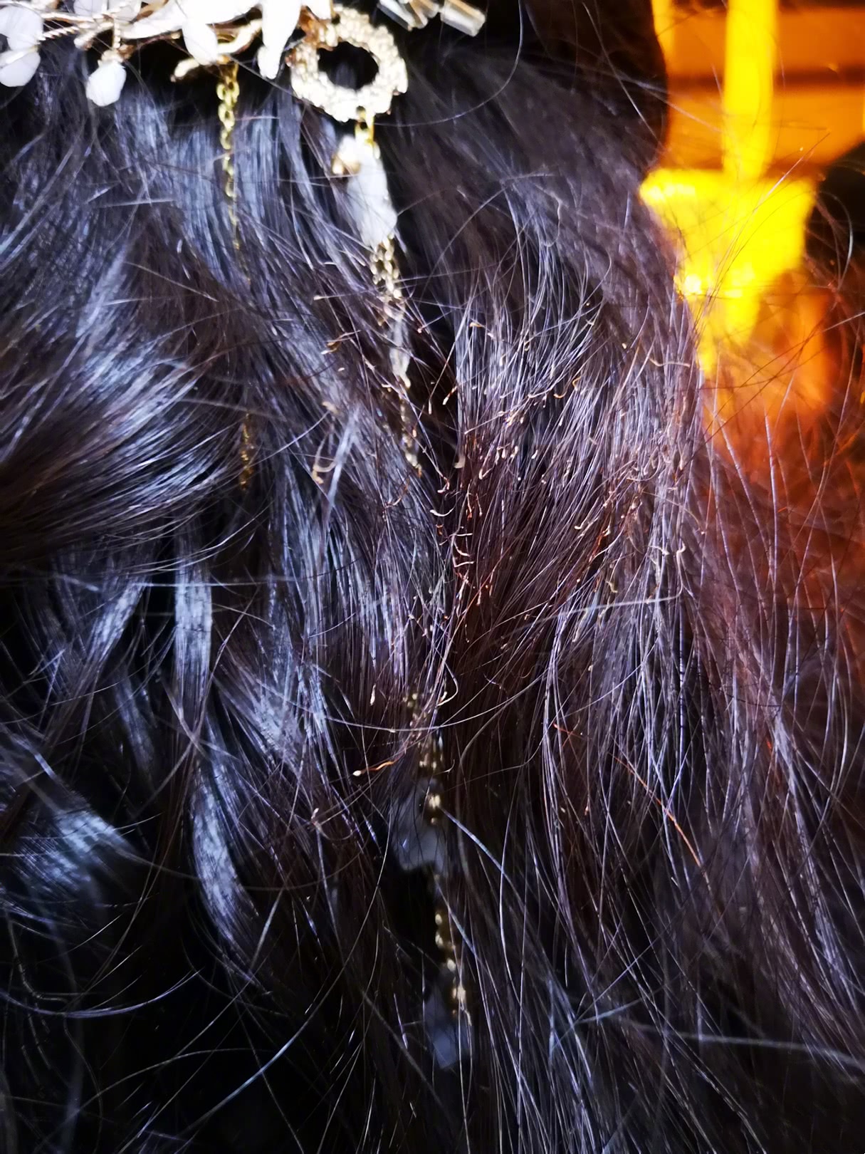 金莎拍戏第一天头发被蜡烛烧焦,和网友幽默互动十分可爱!