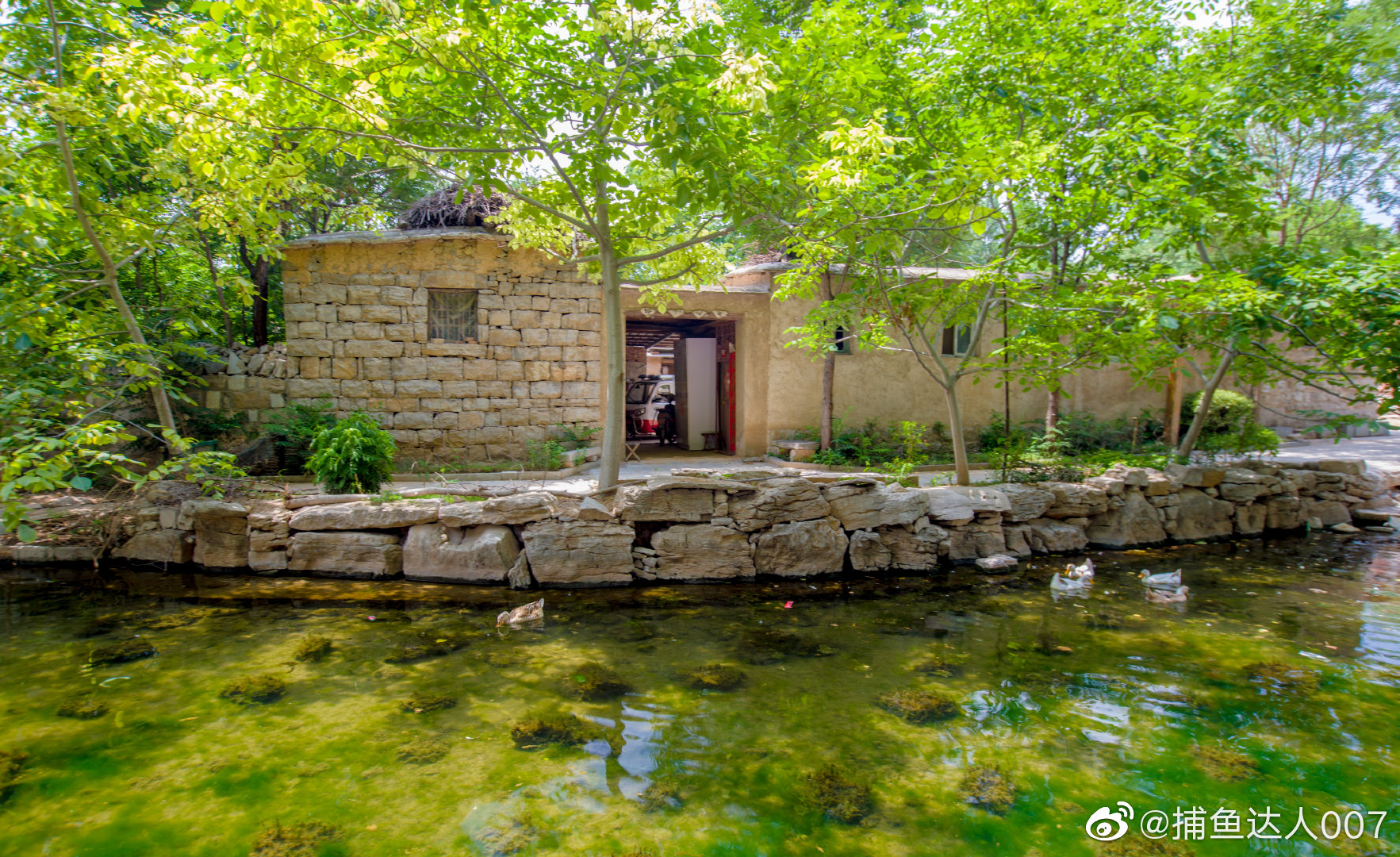 陕西合阳灵泉村——传统村落没落的文明该如何重生