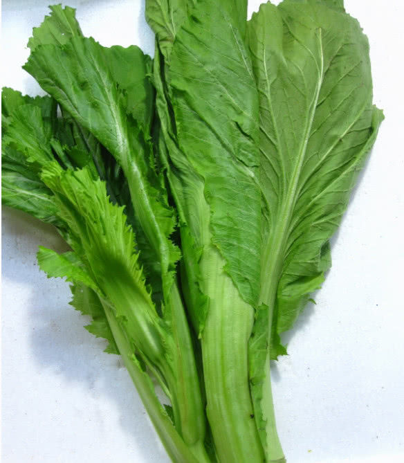 南方特有的4种蔬菜北方很少有人知特别是最后一种