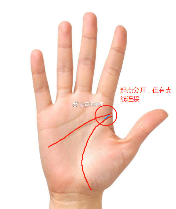 除了川字掌大部分人的智慧线和生命线起点是连在一起的