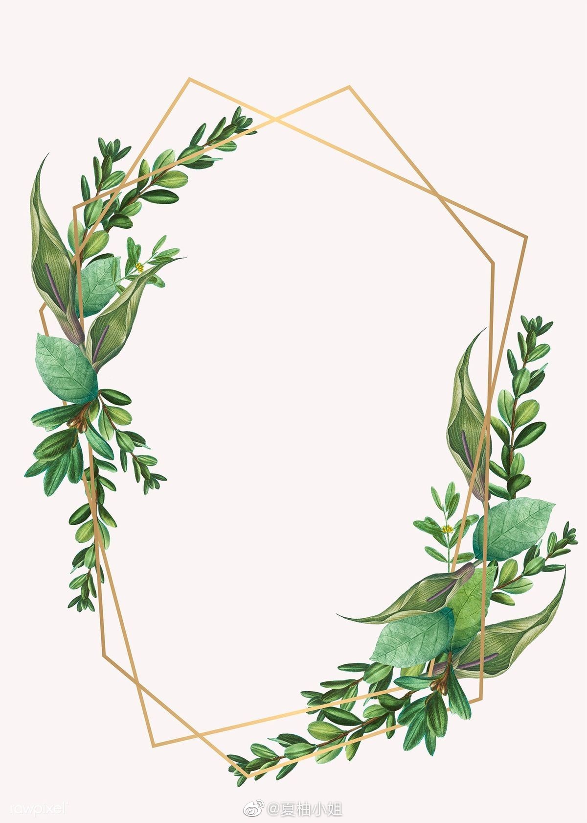 小清新创意水彩画框