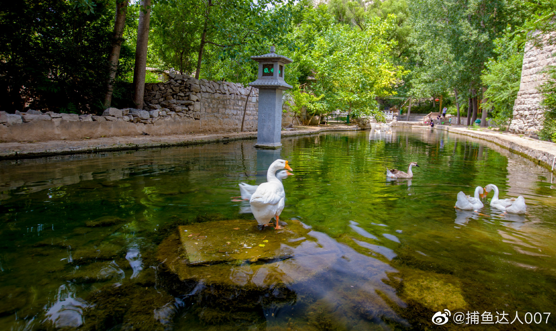 平阴洪范池镇书院泉村新浪山东浪部落济南市文化和旅游局中国