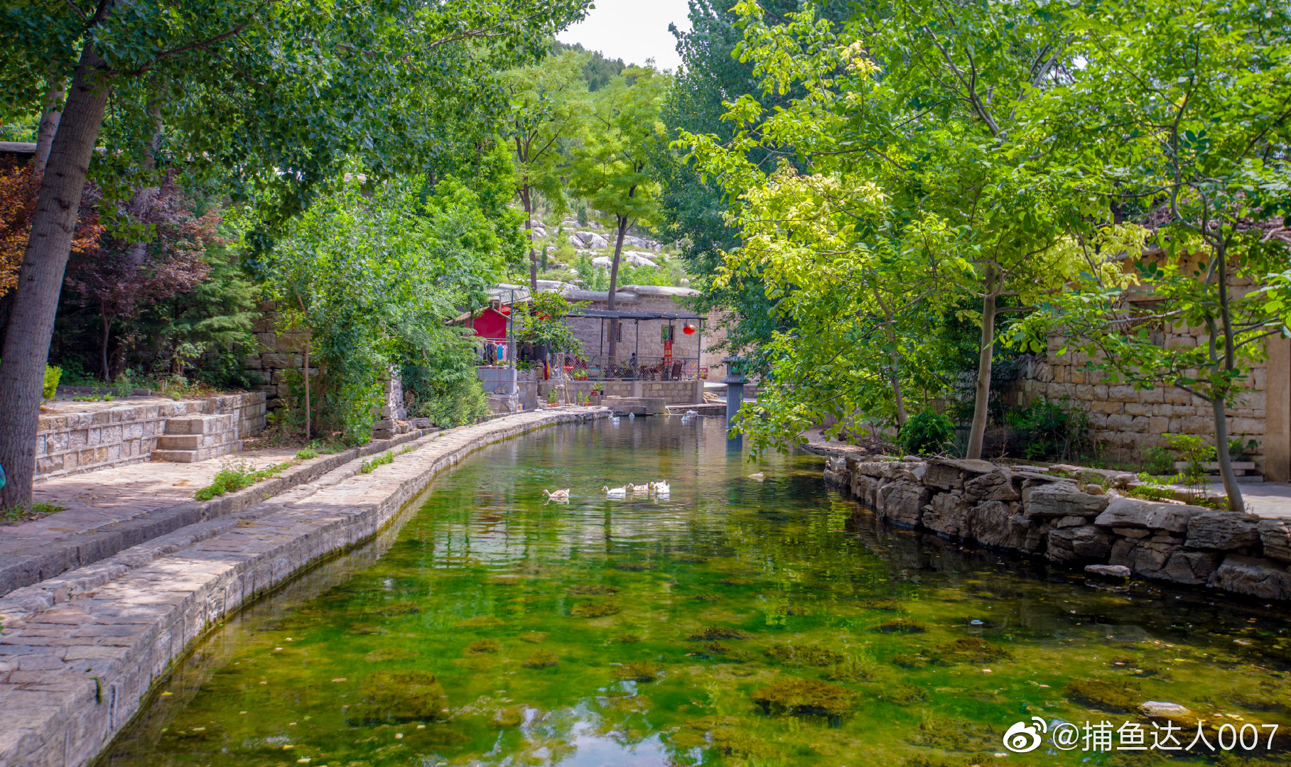 平阴洪范池镇书院泉村新浪山东浪部落济南市文化和旅游局中国