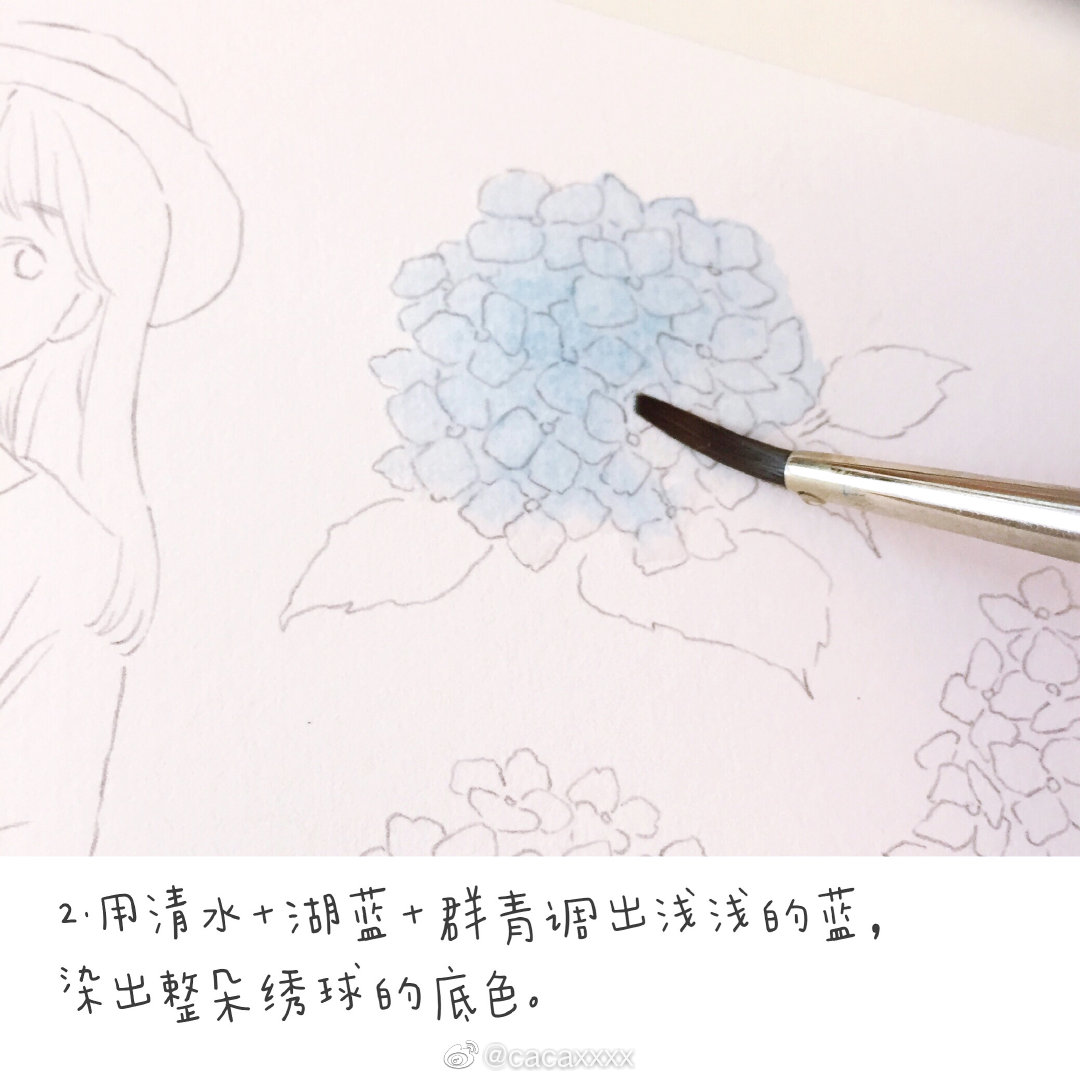 水彩绣球花小过程作者 水彩绣球花小过程作者