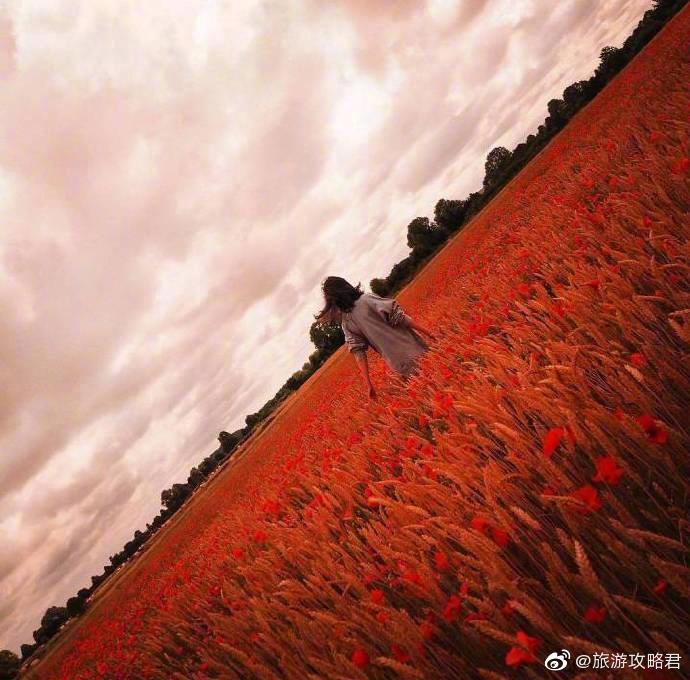 收藏贴*对角线构图法