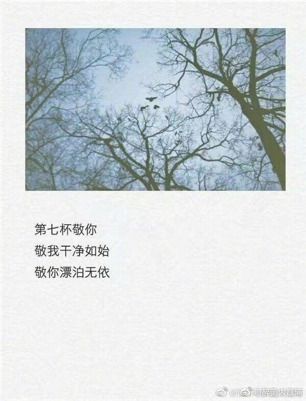 一杯敬朝阳，一杯敬月光