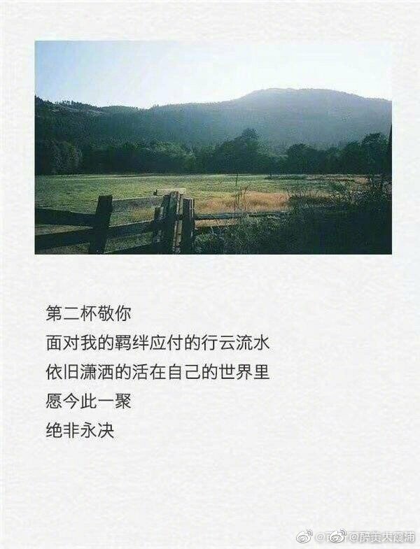 一杯敬朝阳，一杯敬月光