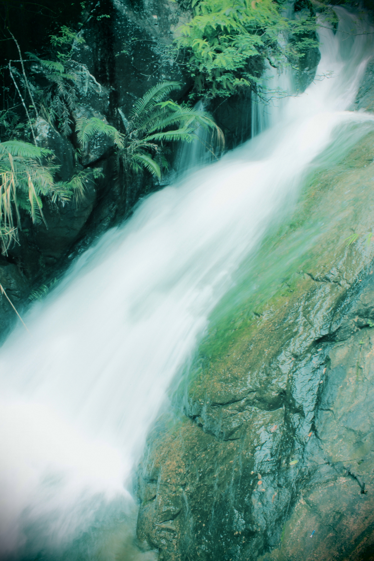 天平山上白云泉,云自无心水自闲. 何必奔冲山下去