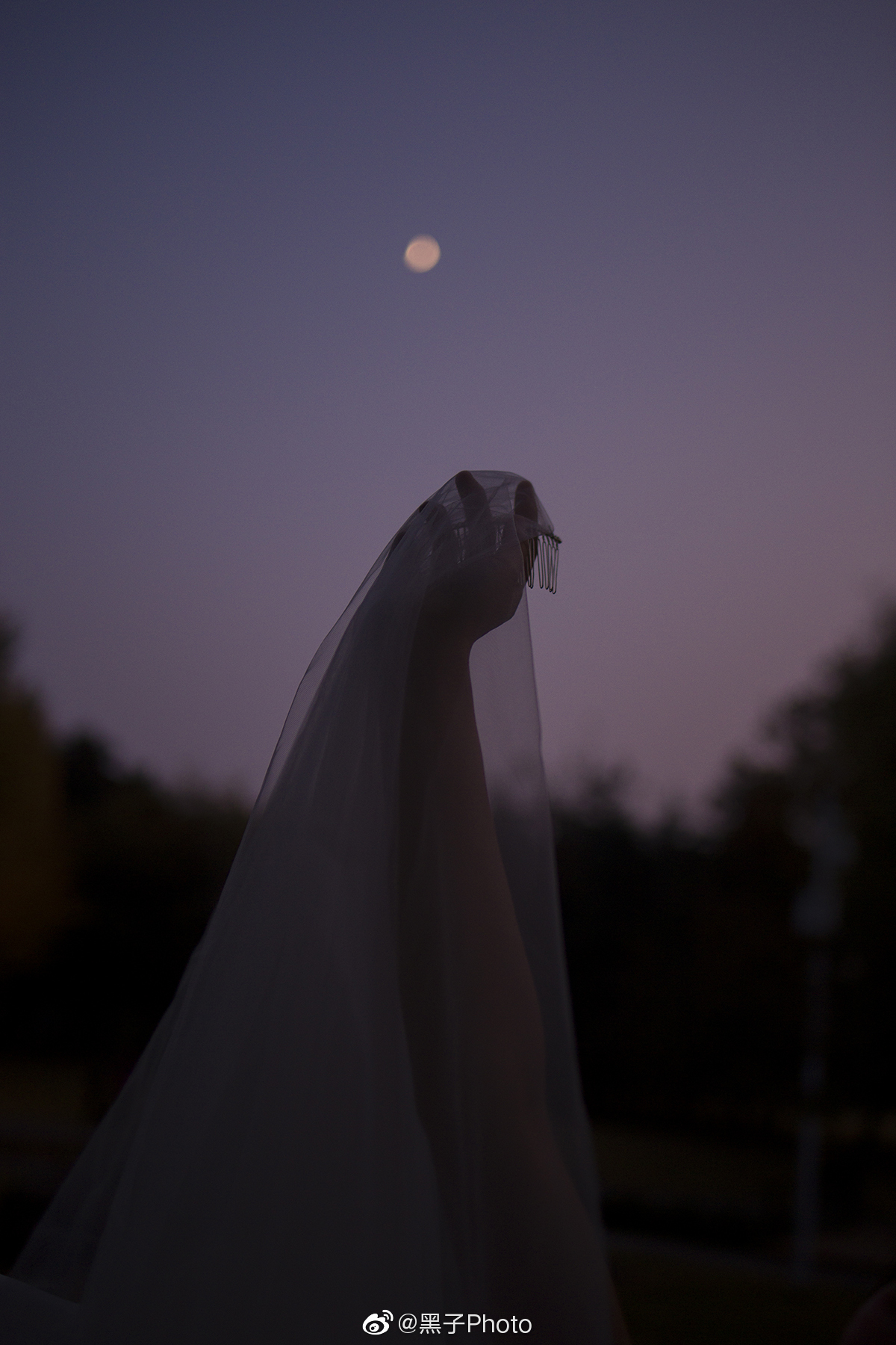 此刻我爱的人正手捧星光99一_高清图集_新浪网