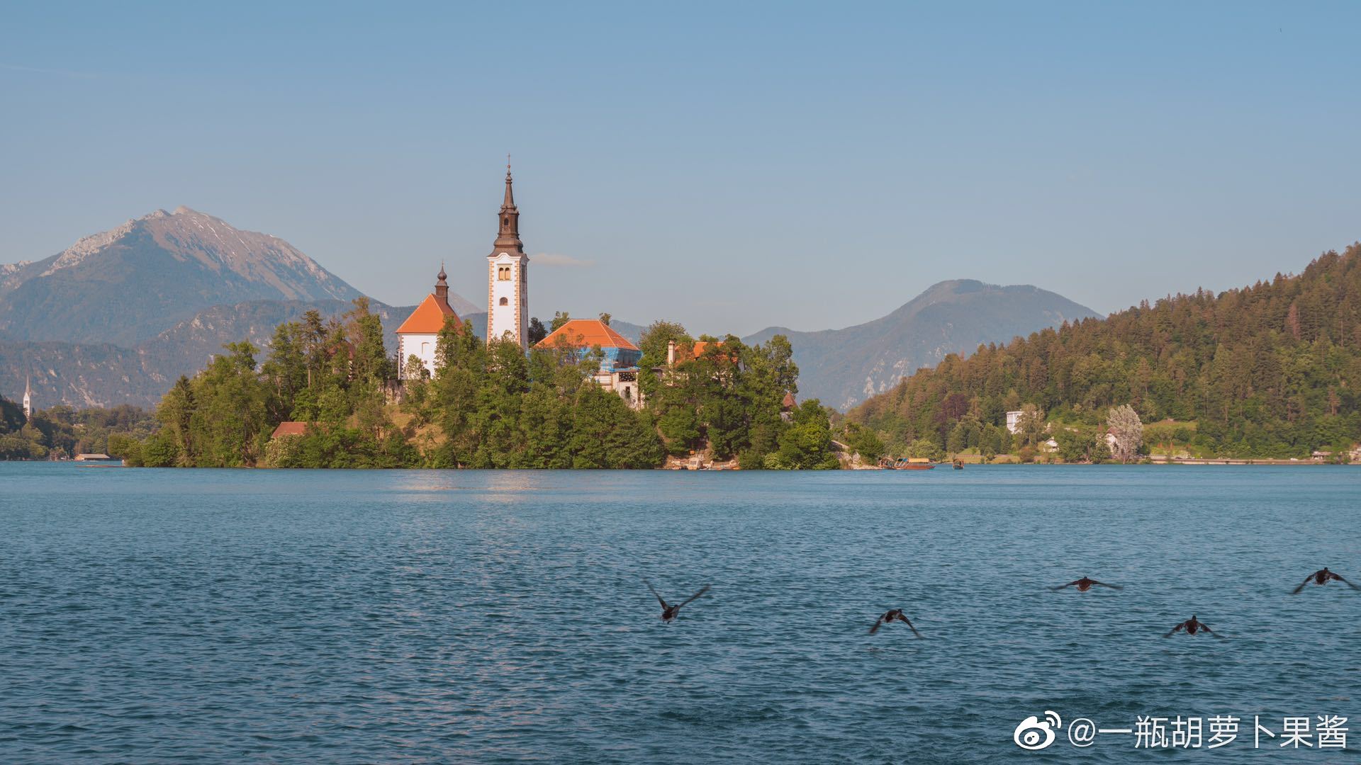 布莱德湖的夏日摄影@一瓶胡萝卜果酱