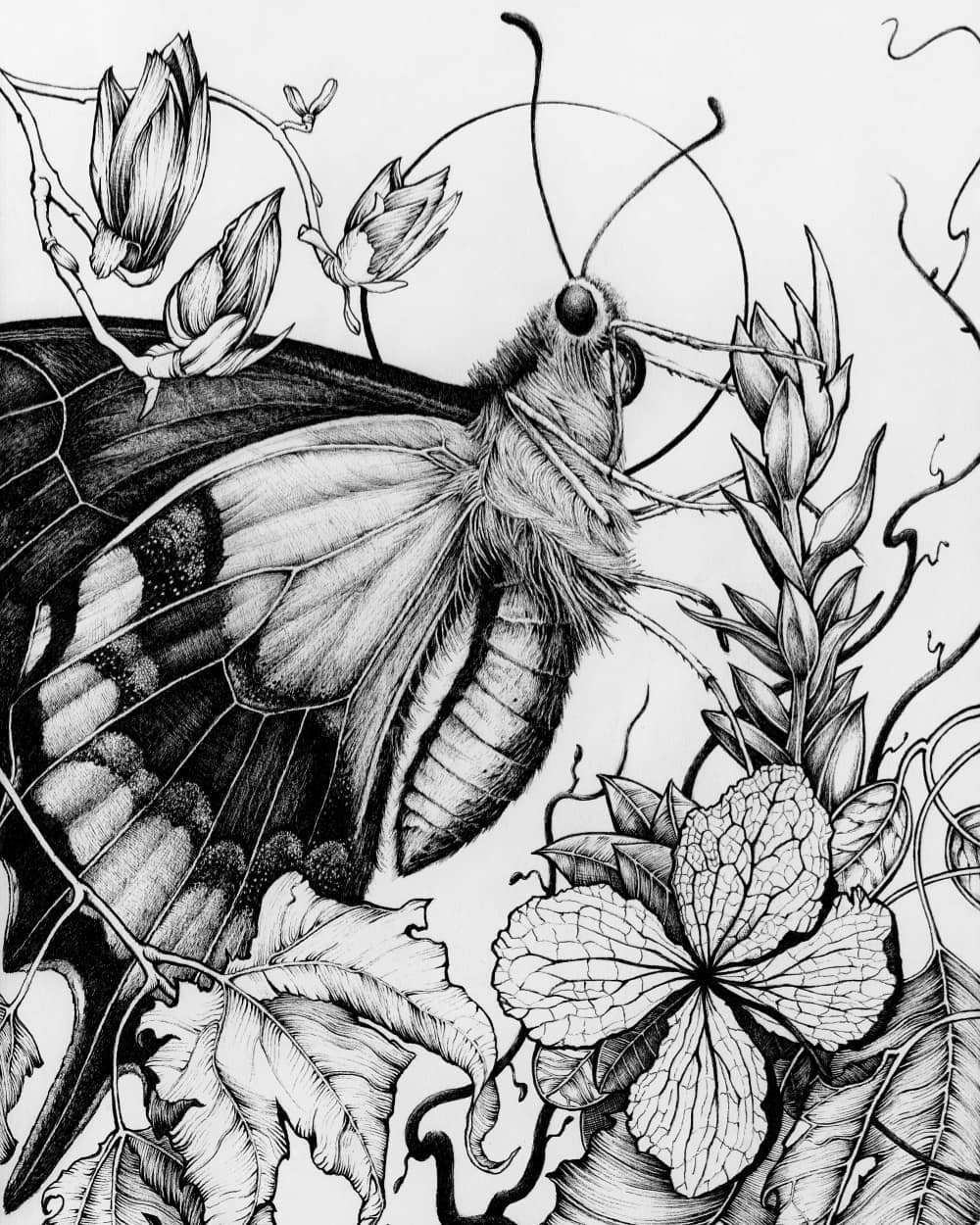 karl trewhela暗黑手绘风插画作品