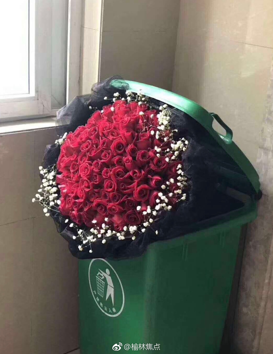 被扔掉的玫瑰花笑一笑那些被遗弃的爱大家都给垃圾桶送玫瑰岂能少了你