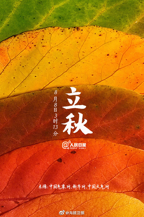 今日立秋