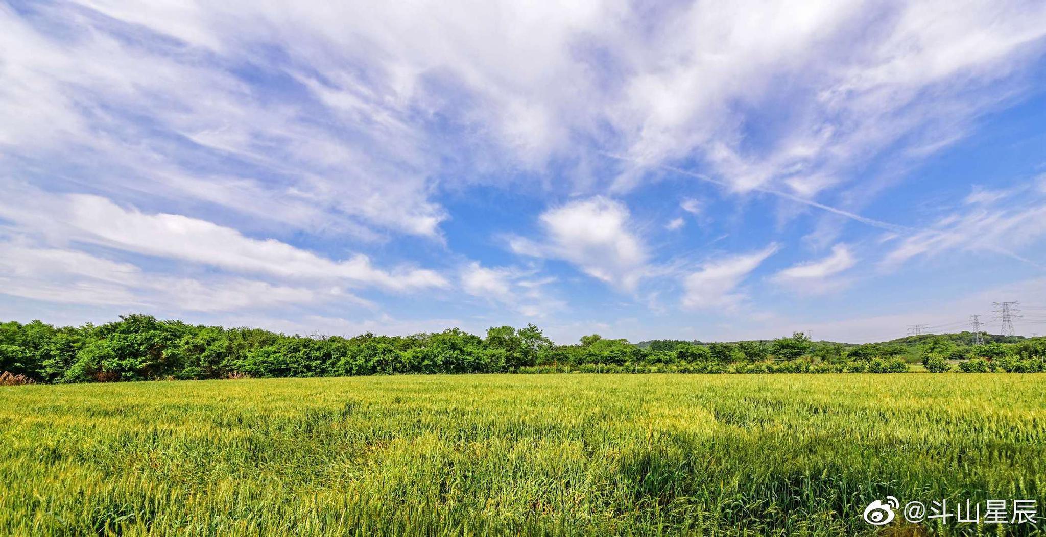 天蓝地绿云儿白,蓝天蓝透了无锡城乡大地,阵阵清风吹开百花飘香