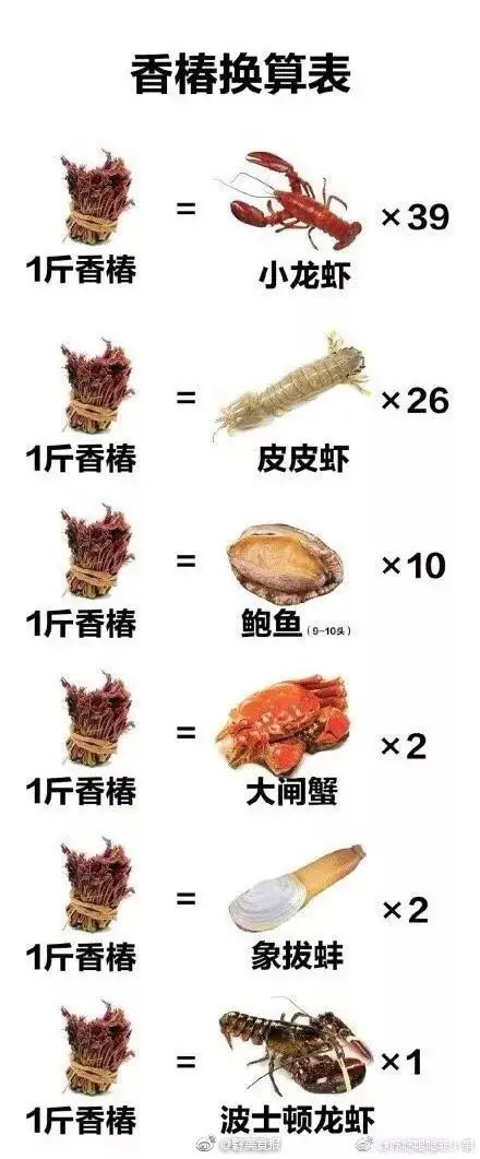 在贵州有一道春天才有的野菜 椿菜 网上热传