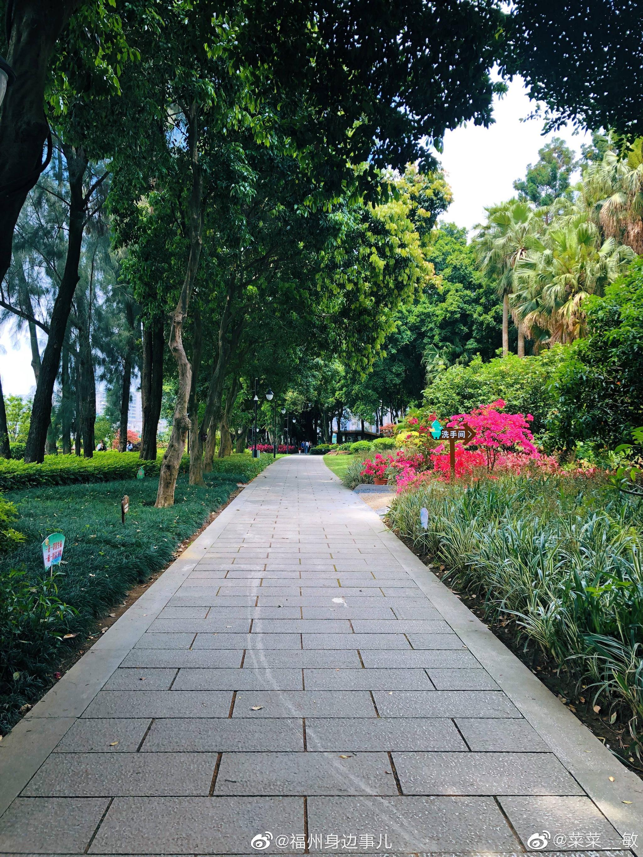 风景宜人的江心公园|江心公园|公园|风景_新浪新闻