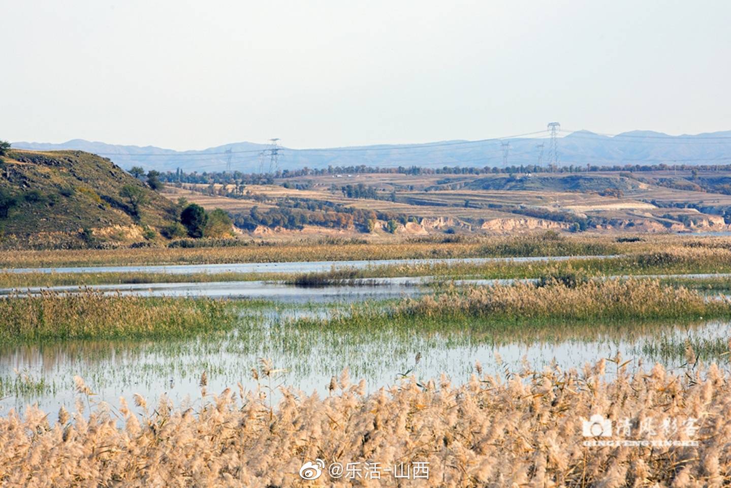初夏,大同桑干河国家湿地公园美如画