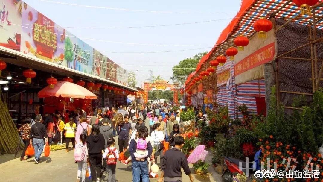 中山最大花市——沙岗墟迎春花市已于1月26日开锣,一直到2月4日