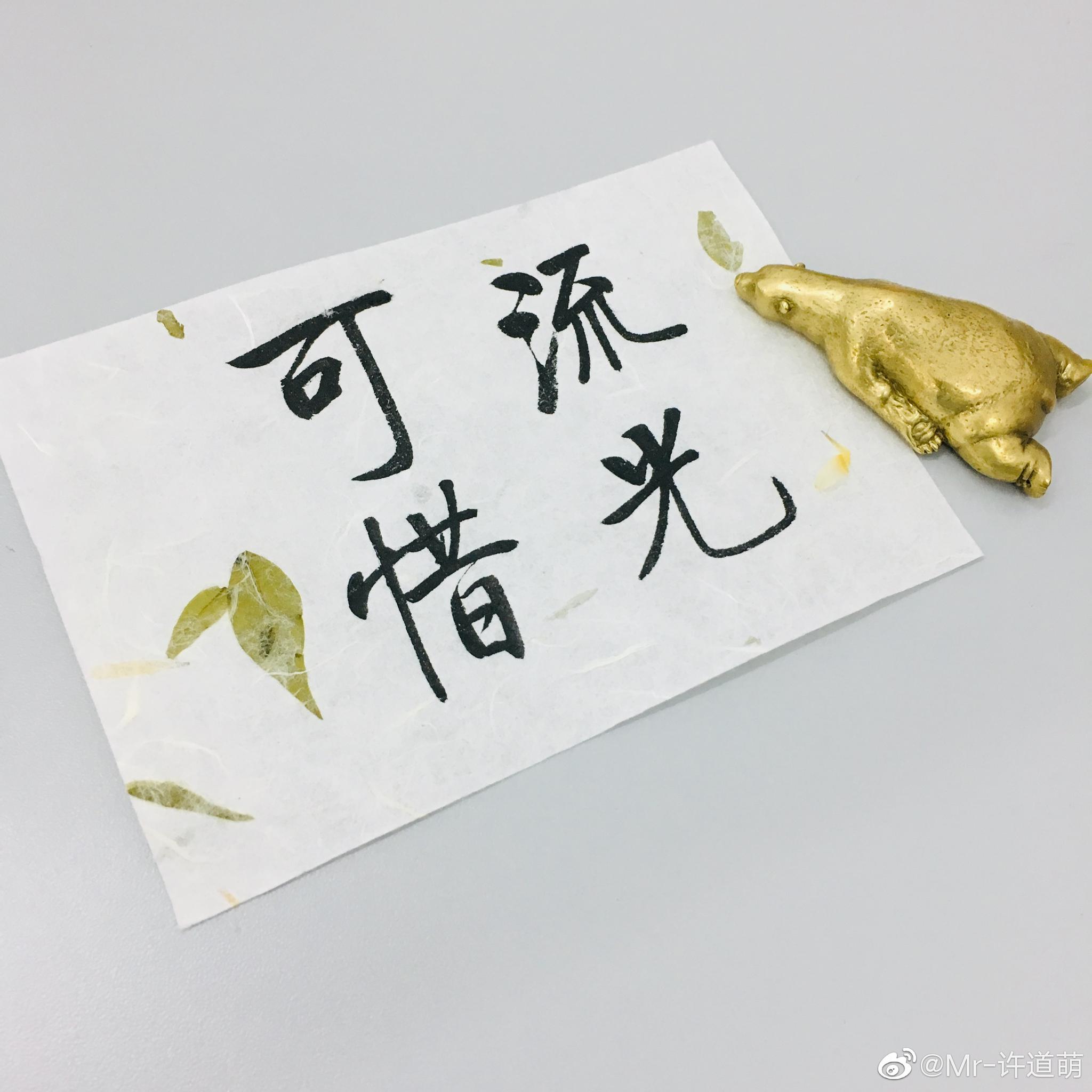 横扫 500 场足球比分：全面的比赛信息平台
