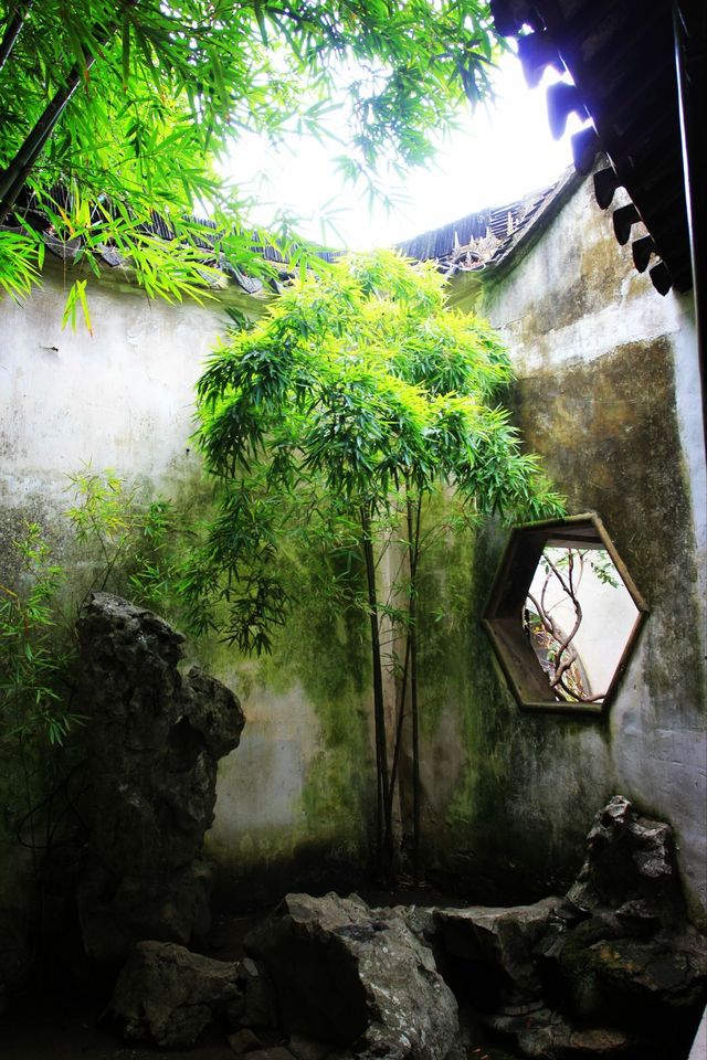苏州园林,庭院深深深几许。有诗情画意,也有生活气息。|庭院深深|苏州园林|诗情画意_新浪新闻