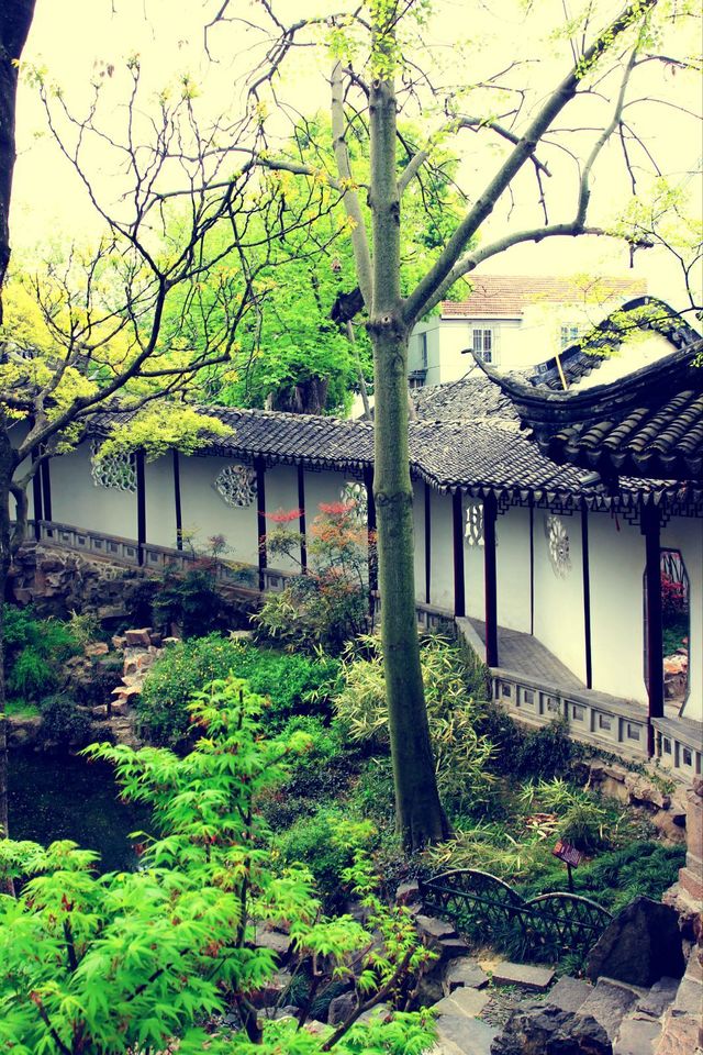 苏州园林,庭院深深深几许.有诗情画意,也有生活气息.