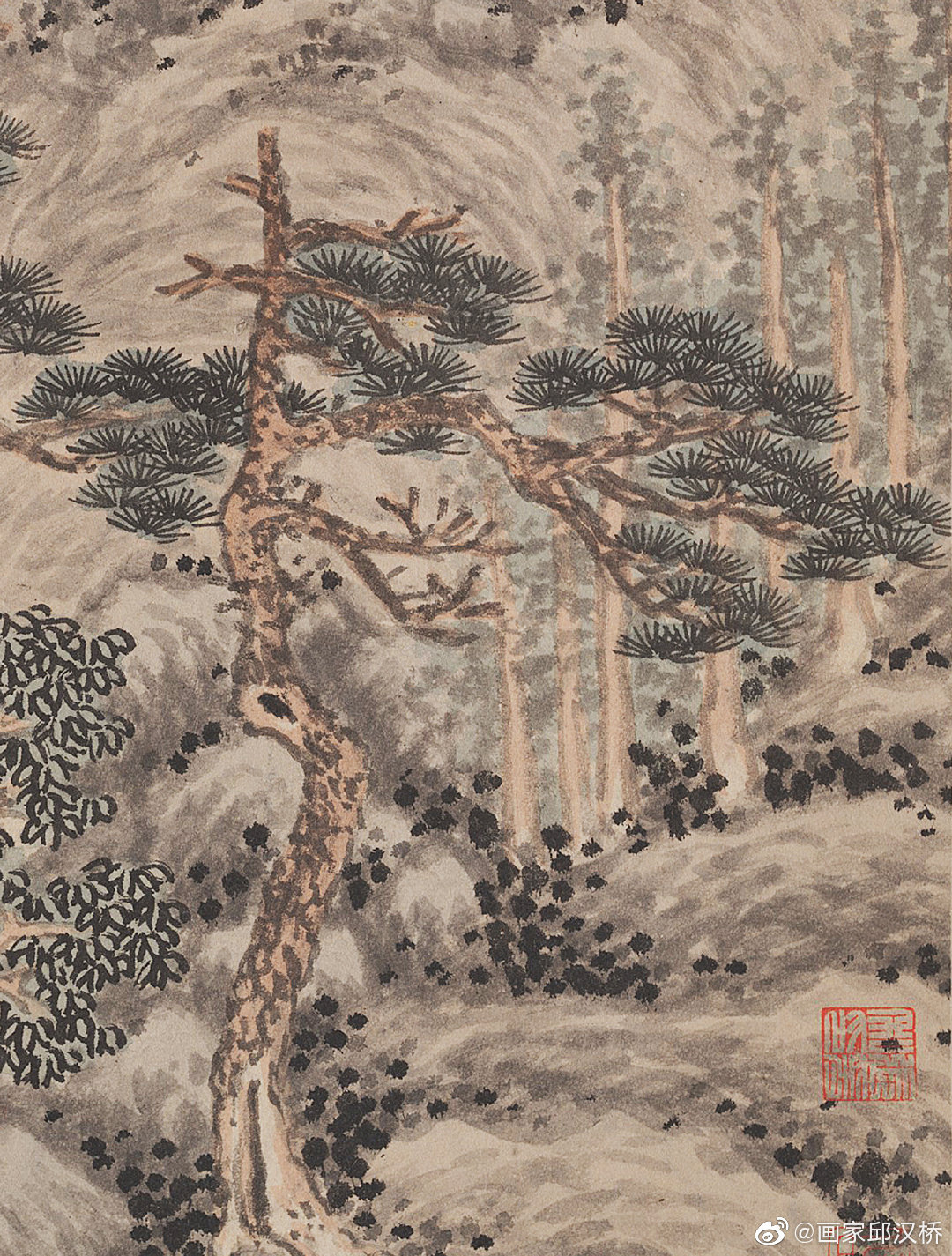 四松图明代沈周水墨设色纵603厘米横154厘米