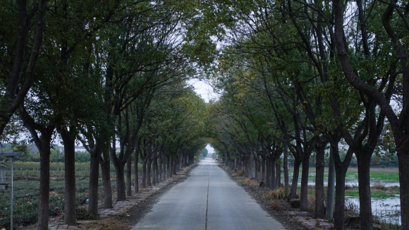 开宝沃BX6接上咖啡师小姐姐后，目的地在哪已经不重要了