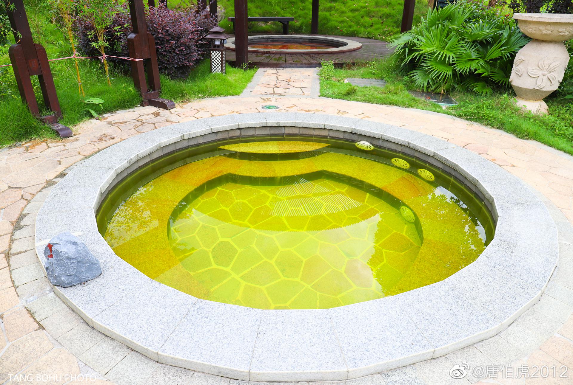 蓝山源岭南东方温泉酒店滨蓝山湖之畔,临温汤天然温泉水