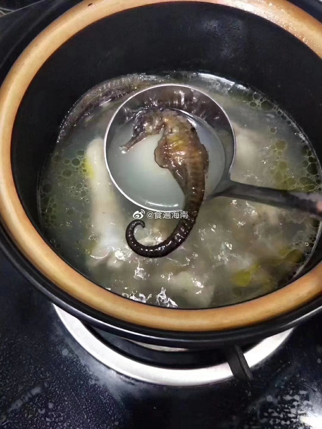 海马中药补品味咸甘性温归肝肾经
