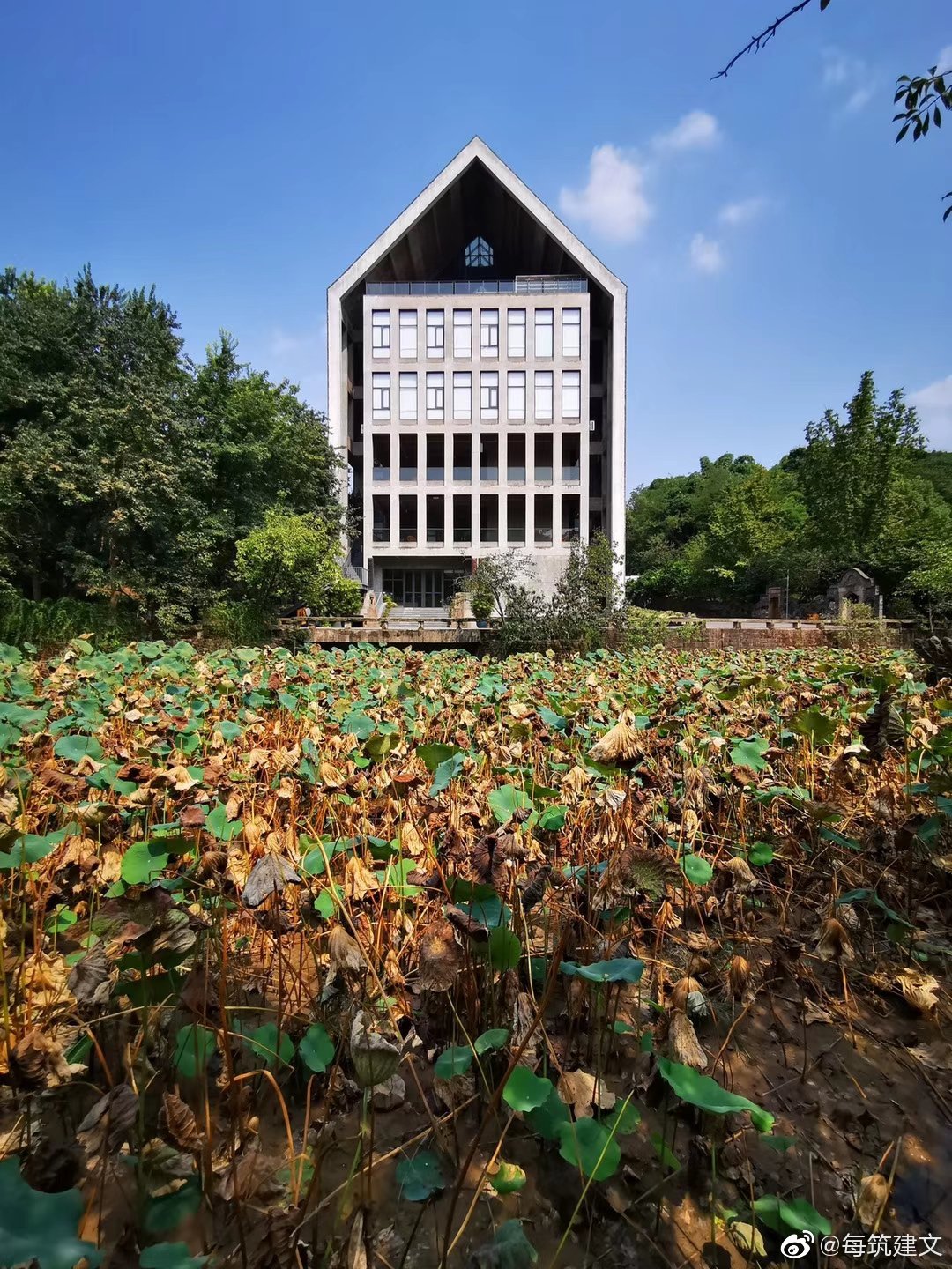 四川美院图书馆从设计概念到细部构造的关系很清晰