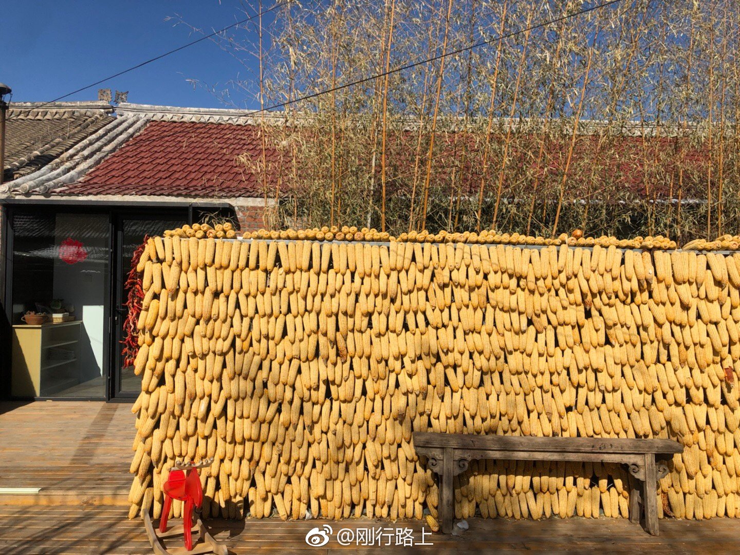 红辣椒干玉米挂满了墙|干玉米|农家院|红辣椒_新浪新闻