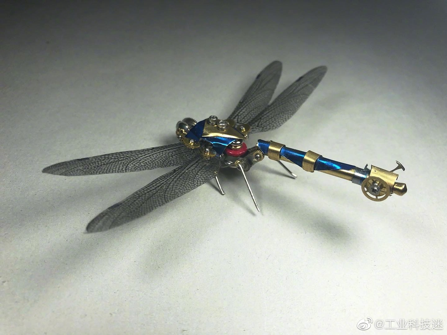 蜻蜓有点直升机的感觉