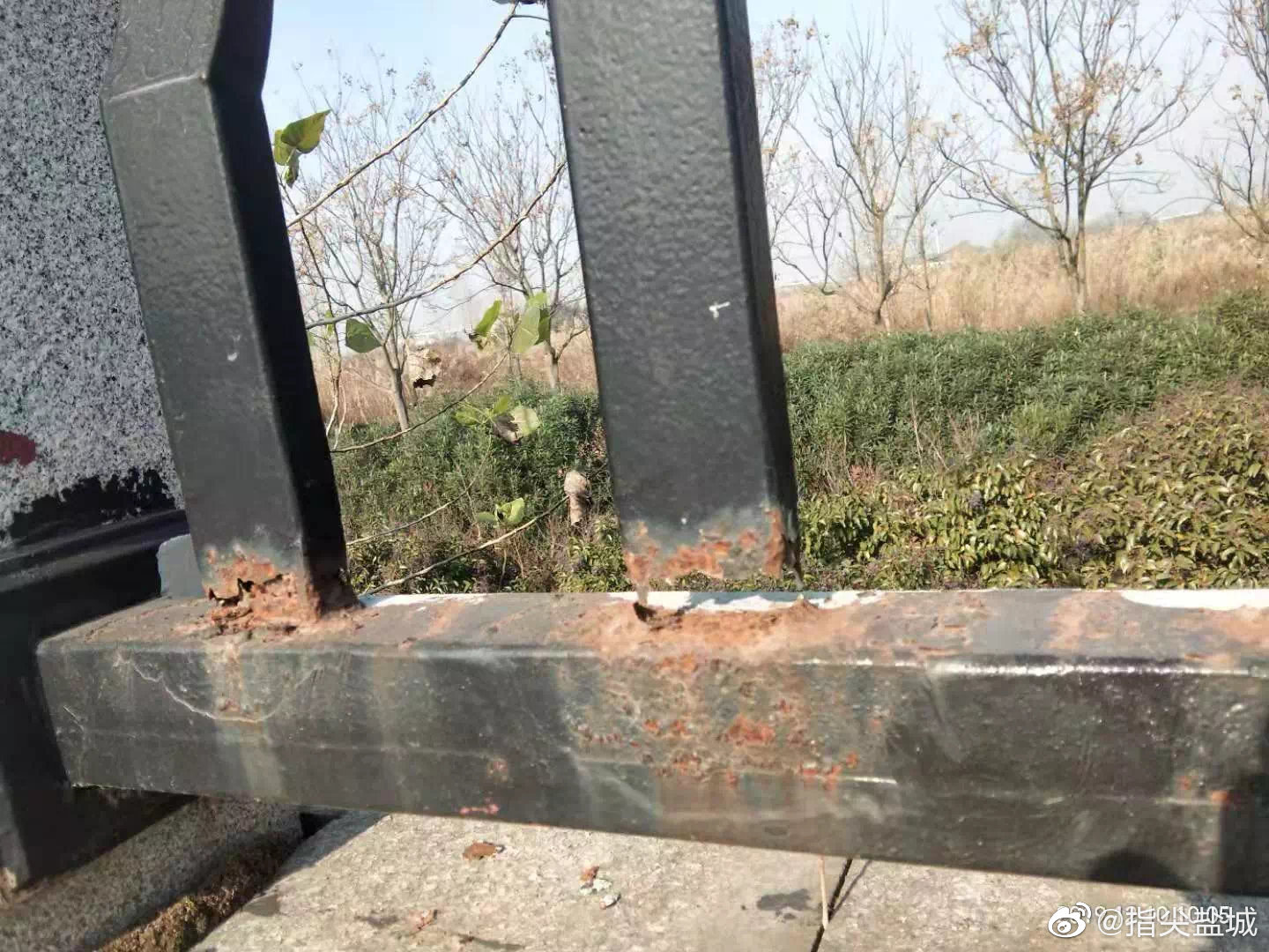 网友,热心市民说,最近几天,有工人在刷护栏的油漆,但是很多桥的铁质