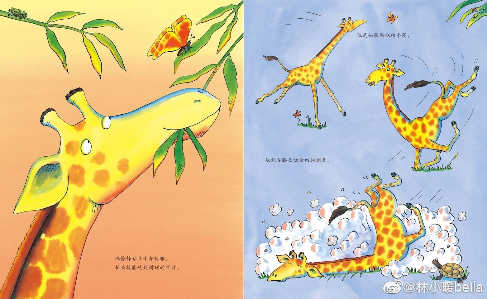 今天咱们的赠书活动送《长颈鹿不会跳舞》