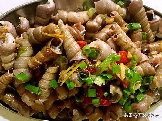 青岛人常吃的海螺,其实没几种