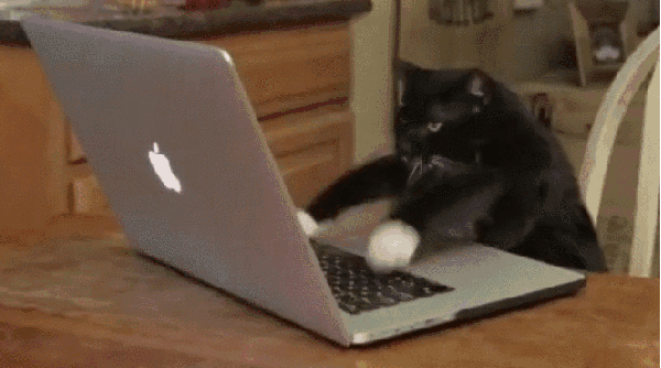 连续开会12小时后猝死|加班|兴趣班|高材生_新浪新闻