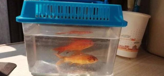夫妻都感染“隻要活一個 5歲女兒就不是孤兒”(組圖) 10 治愈患者親述:隻要我倆有一個活下去,5 歲的女兒就不是孤兒