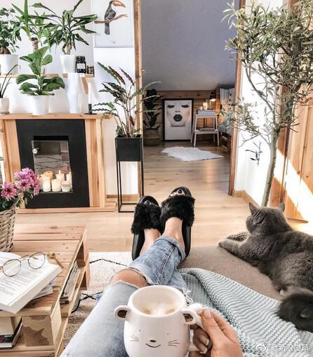 早安,一人居的悠然自得,可以开启假期悠闲模式啦