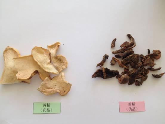 一味黄精竟有如此功效教你如何鉴别真假黄精