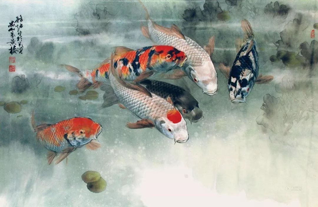 锦鲤火了,鲤鱼的文化内涵你都知道吗?