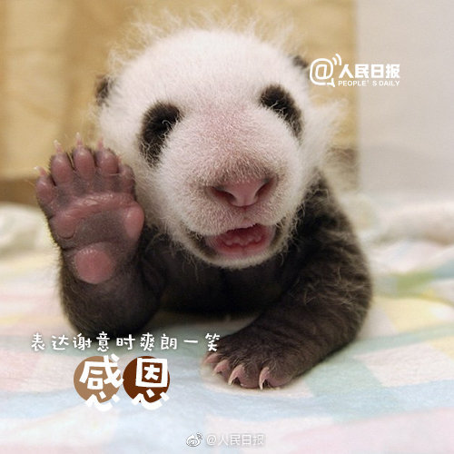 嘿,笑一个吧|微笑|隔阂|嘴角_新浪新闻