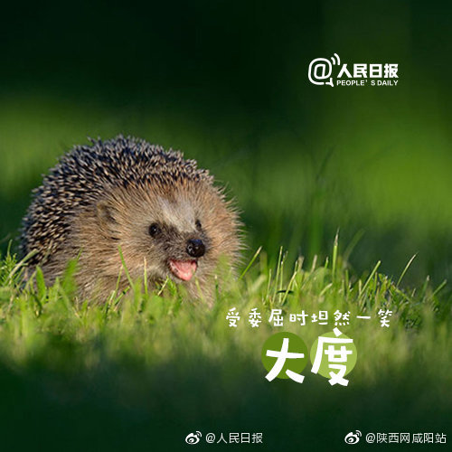 嘿,笑一个吧|微笑|隔阂|嘴角