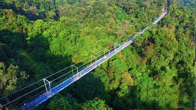 融安推荐seo方案