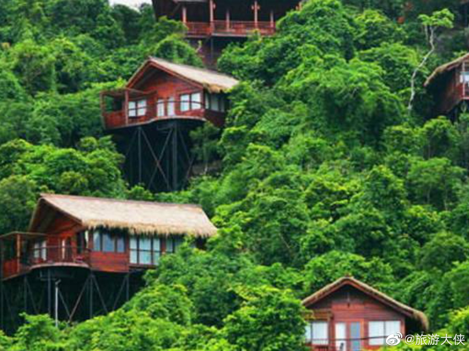 亚龙湾热带天堂森林公园入选森林体验和森林养生国家重点建设基地