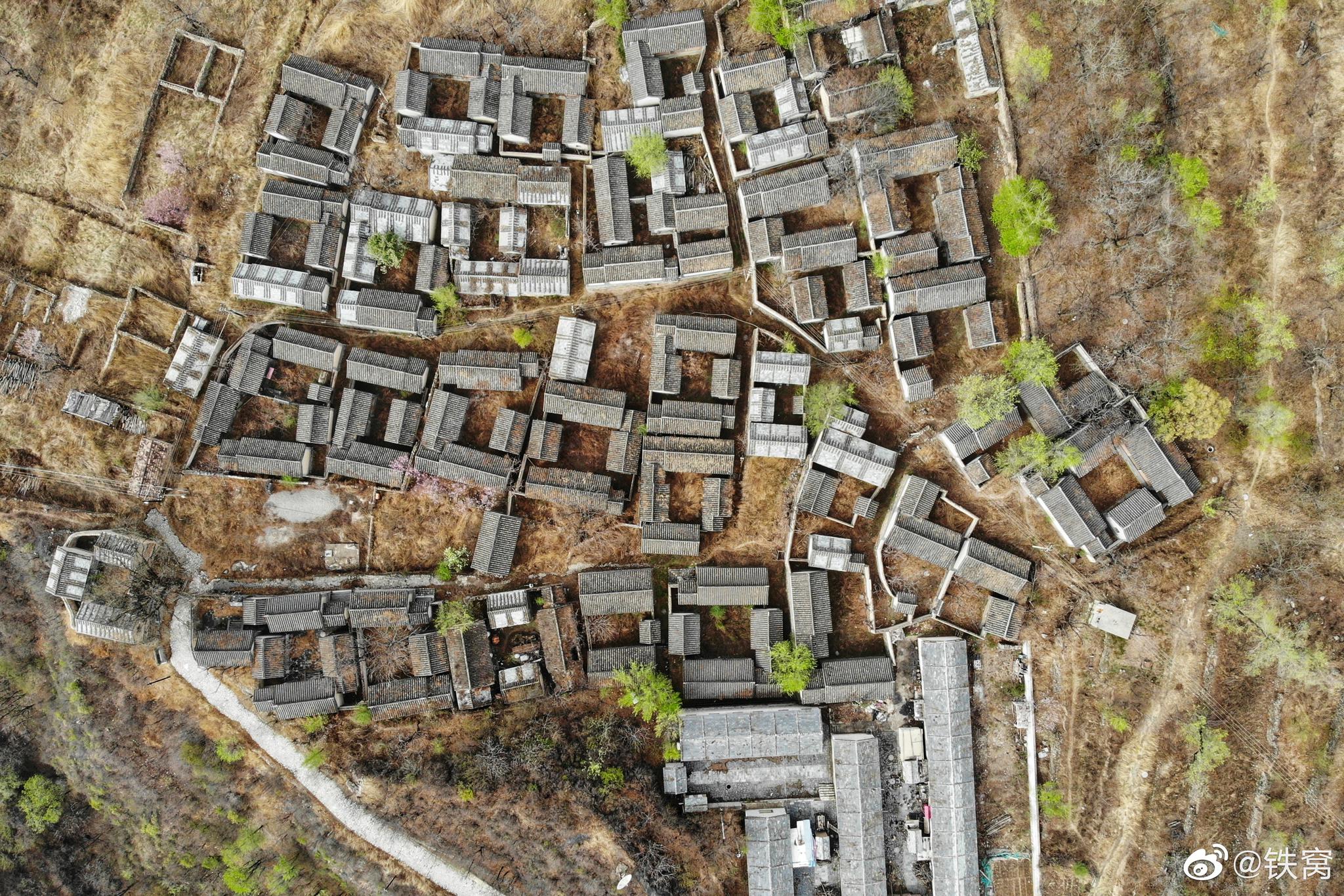 蚂蚁能意识到人类存在吗?就像外星人,我们无法意识到...