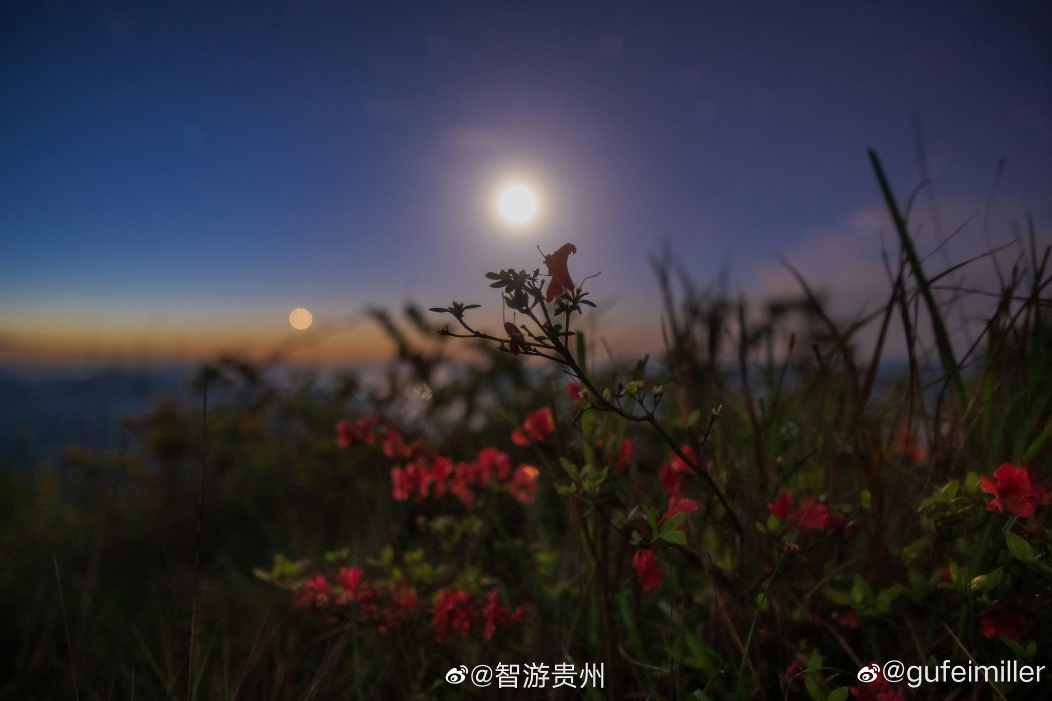 凌晨到清晨的花溪高坡，云海，星空，气辉，朝霞|朝霞|云海|星空|漫山遍野|花溪高坡_新浪新闻